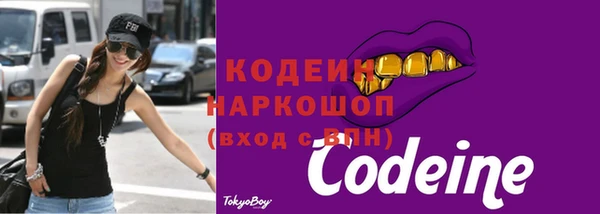 гидра Абаза