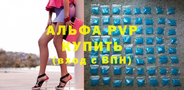 гидра Абаза