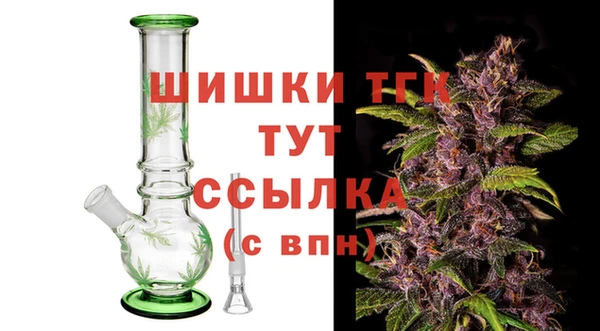 гидра Абаза