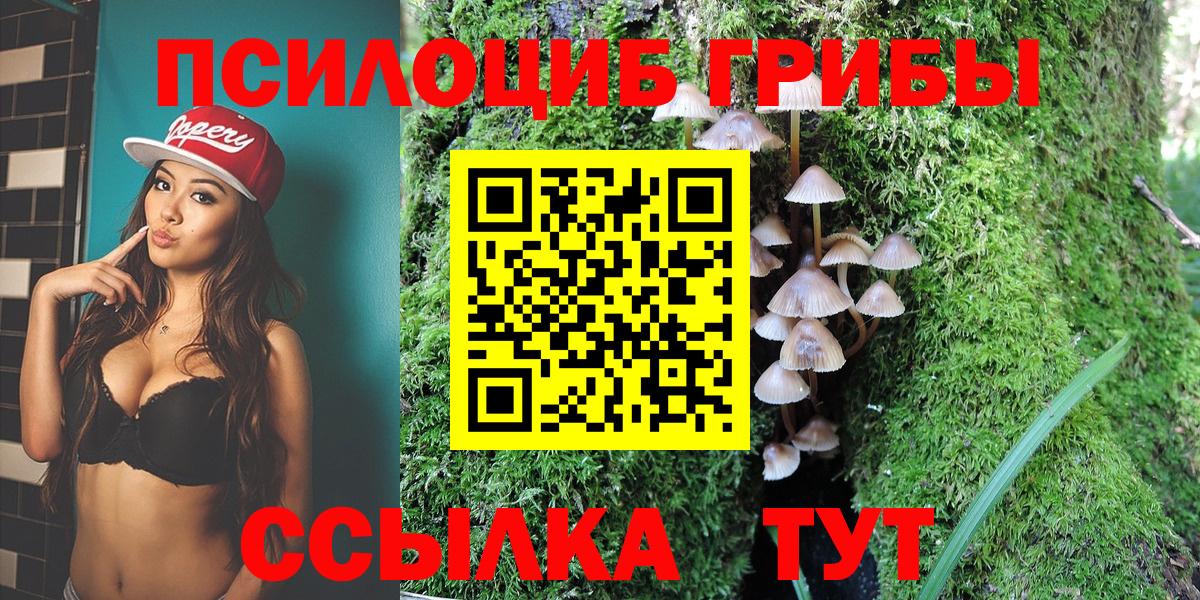Псилоцибиновые грибы Psilocybe Богданович