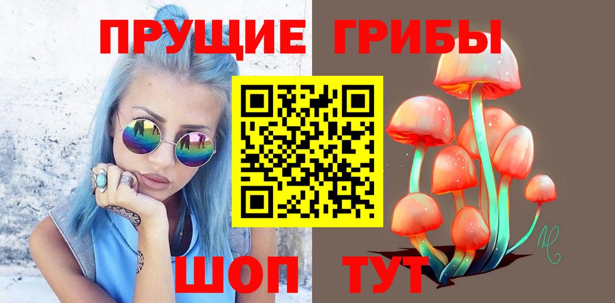 Богданович  Галлюциногенные грибы ЛСД  как найти   Вход с VPN 