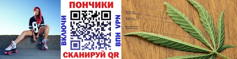 купить закладку  Богданович  Шишки марихуана Amnesia 